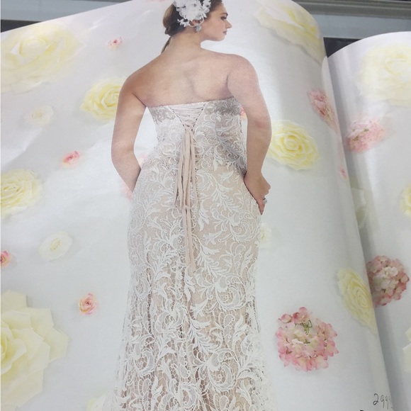 Royal Queen Collection 7458 Wedding Dress 🌹💍 - Picture 10 of 11